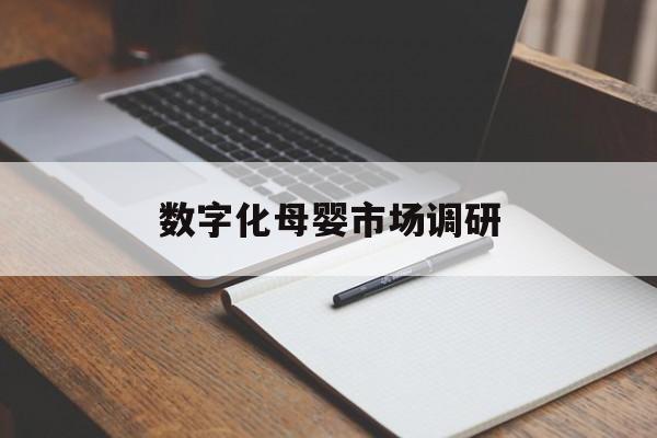 十堰市数字化母婴市场调研(数字化母婴市场调研报告)