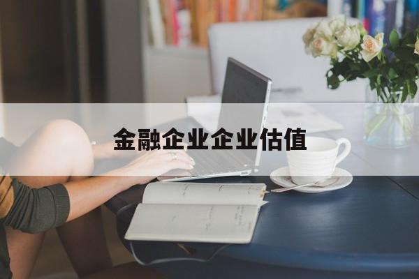 十堰市金融企业企业估值(最新企业估值怎么填)